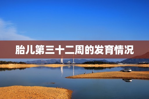 胎儿第三十二周的发育情况