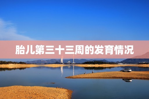 胎儿第三十三周的发育情况