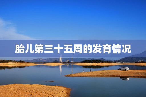胎儿第三十五周的发育情况