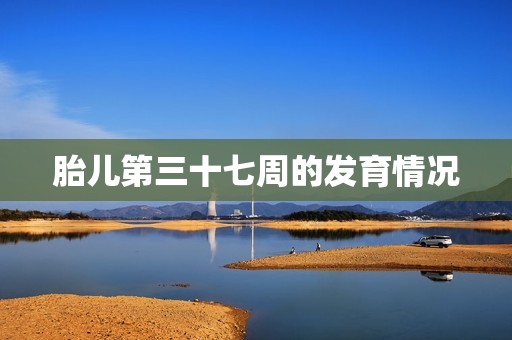 胎儿第三十七周的发育情况