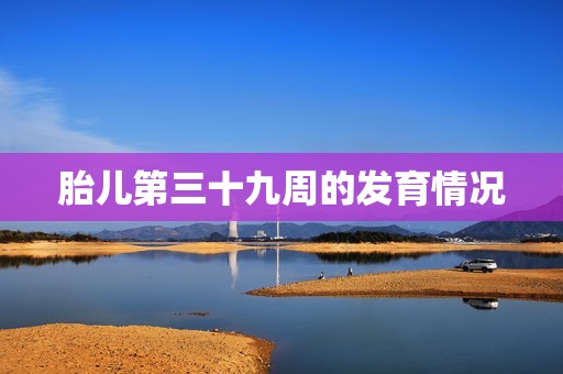 胎儿第三十九周的发育情况