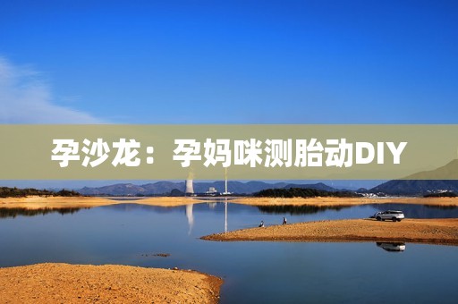 孕沙龙：孕妈咪测胎动DIY