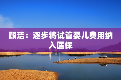 顾洁：逐步将试管婴儿费用纳入医保