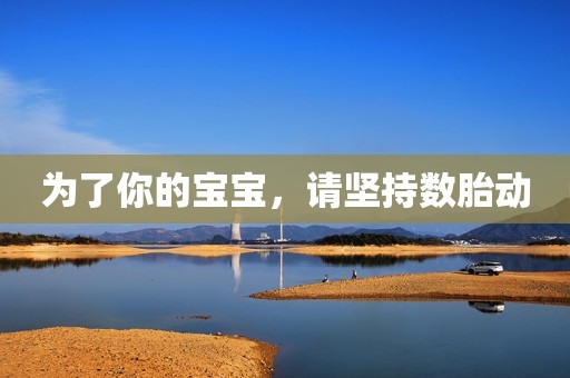 为了你的宝宝，请坚持数胎动