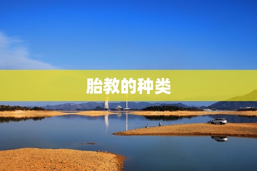 胎教的种类