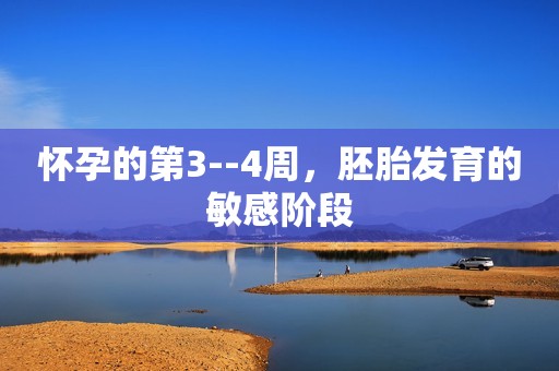 怀孕的第3--4周，胚胎发育的敏感阶段