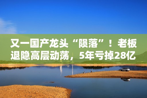 又一国产龙头“陨落”！老板退隐高层动荡，5年亏掉28亿
