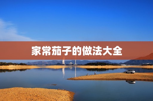 家常茄子的做法大全