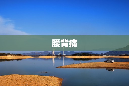 腰背痛