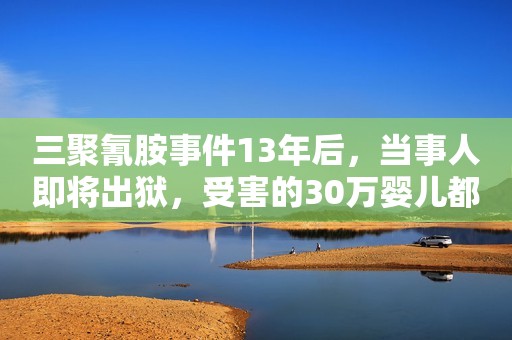 三聚氰胺事件13年后，当事人即将出狱，受害的30万婴儿都怎样了？