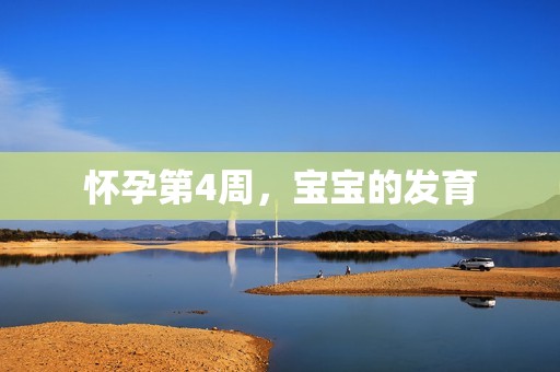 怀孕第4周，宝宝的发育