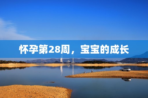 怀孕第28周，宝宝的成长