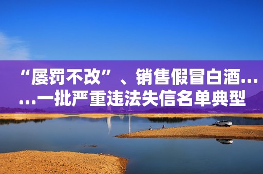 “屡罚不改”、销售假冒白酒……一批严重违法失信名单典型案例公布