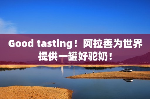 Good tasting！阿拉善为世界提供一罐好驼奶！