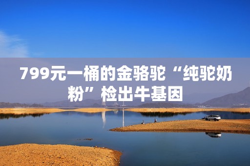 799元一桶的金骆驼“纯驼奶粉”检出牛基因