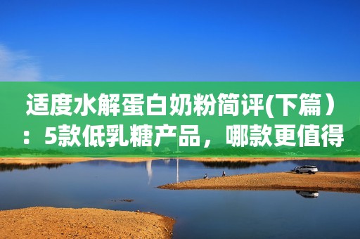 适度水解蛋白奶粉简评(下篇）：5款低乳糖产品，哪款更值得选？
