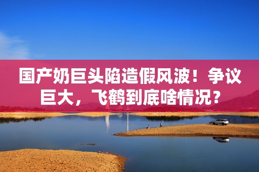 国产奶巨头陷造假风波！争议巨大，飞鹤到底啥情况？