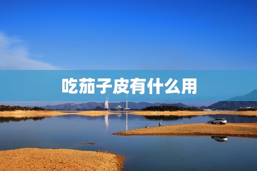 吃茄子皮有什么用