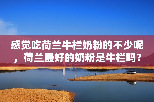 感觉吃荷兰牛栏奶粉的不少呢，荷兰最好的奶粉是牛栏吗？