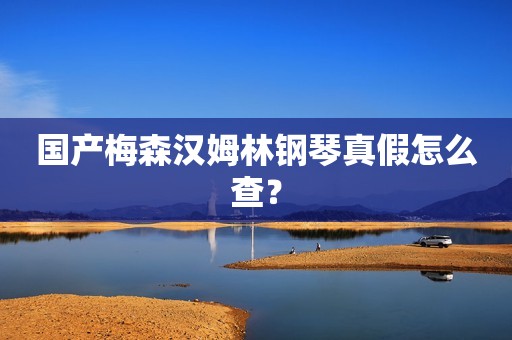 国产梅森汉姆林钢琴真假怎么查？