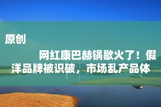 原创
            网红康巴赫锅歇火了！假洋品牌被识破，市场乱产品体验差