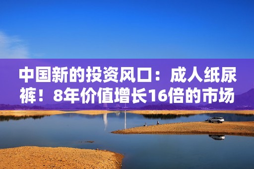 中国新的投资风口：成人纸尿裤！8年价值增长16倍的市场