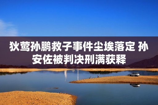 狄莺孙鹏救子事件尘埃落定 孙安佐被判决刑满获释
