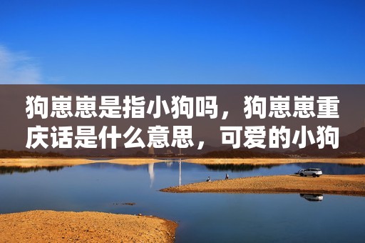狗崽崽是指小狗吗，狗崽崽重庆话是什么意思，可爱的小狗怎么养活
