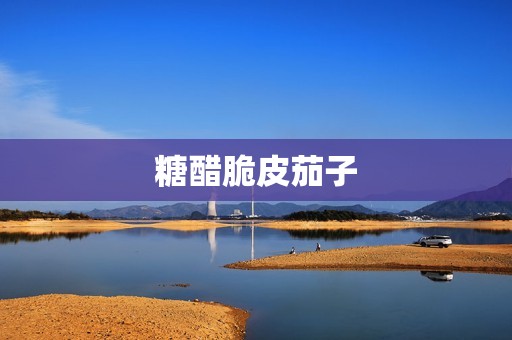 糖醋脆皮茄子