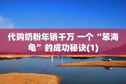 代购奶粉年销千万 一个“笨海龟”的成功秘诀(1)