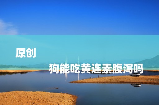 原创
            狗能吃黄连素腹泻吗
