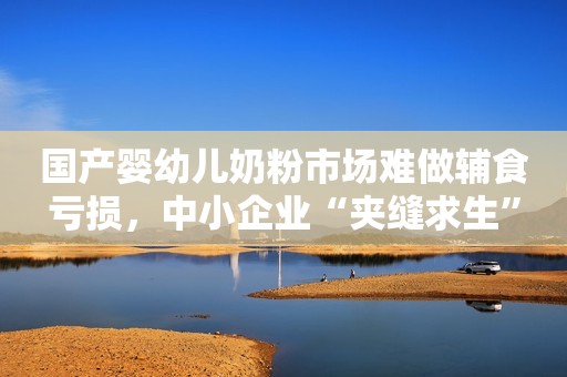 国产婴幼儿奶粉市场难做辅食亏损，中小企业“夹缝求生”