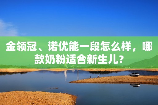 详细阅读:金领冠、诺优能一段怎么样,哪款奶粉适合新生儿? 金领冠、诺优能一段怎么样,哪款奶粉适合新生儿?