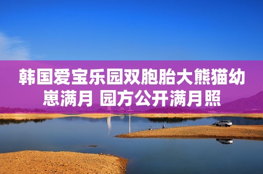 韩国爱宝乐园双胞胎大熊猫幼崽满月 园方公开满月照