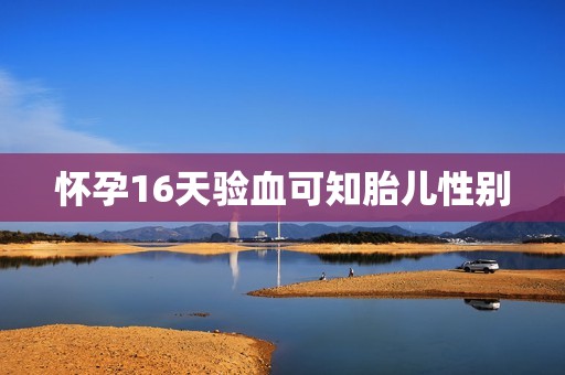 怀孕16天验血可知胎儿性别