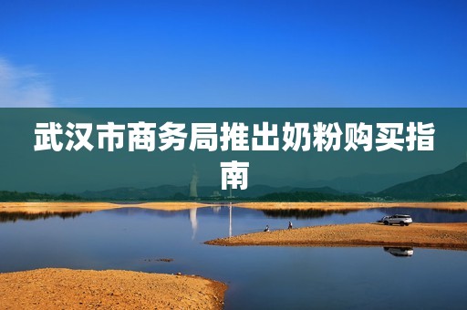 武汉市商务局推出奶粉购买指南