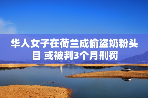 华人女子在荷兰成偷盗奶粉头目 或被判3个月刑罚