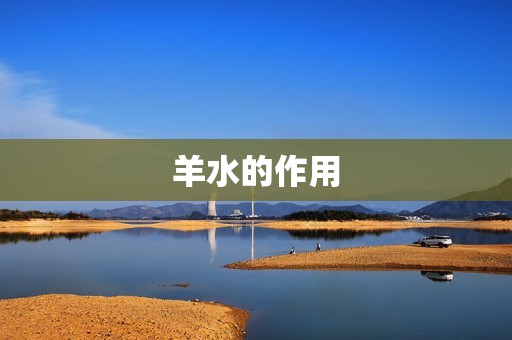 羊水的作用