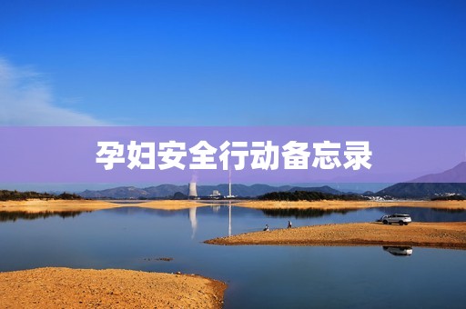 孕妇安全行动备忘录