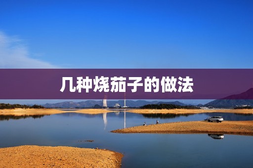 几种烧茄子的做法