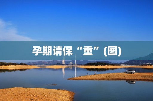 详细阅读:孕期请保“重”(图) 孕期请保“重”(图)