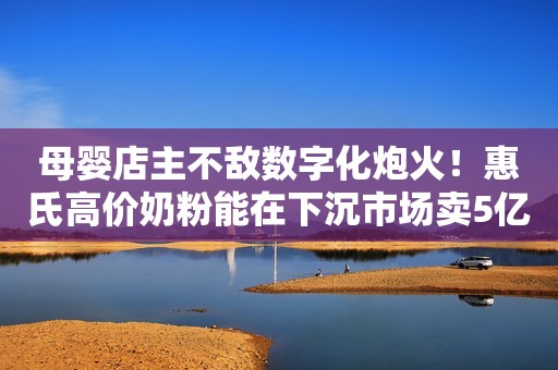 母婴店主不敌数字化炮火！惠氏高价奶粉能在下沉市场卖5亿？