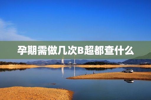 孕期需做几次B超都查什么