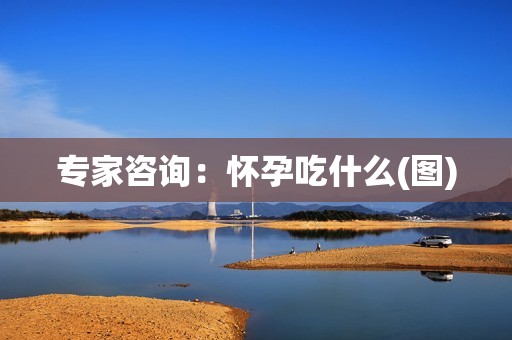 专家咨询：怀孕吃什么(图)