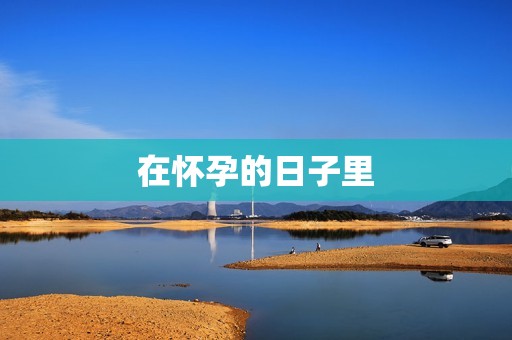 在怀孕的日子里