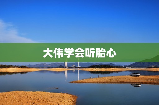 大伟学会听胎心