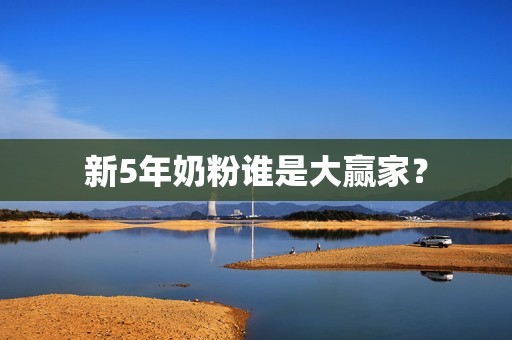 新5年奶粉谁是大赢家？