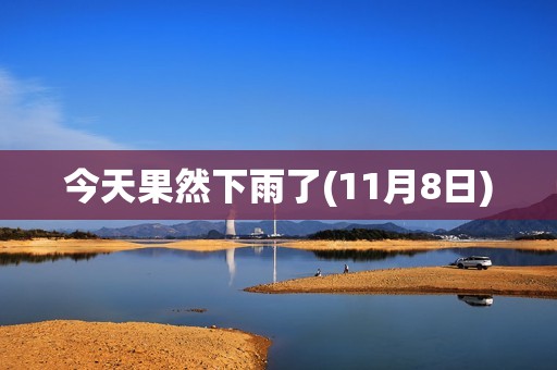 今天果然下雨了(11月8日)