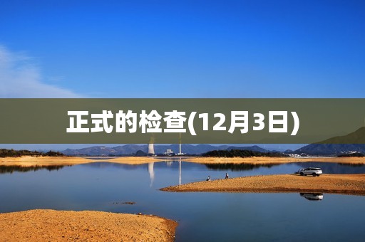 正式的检查(12月3日)
