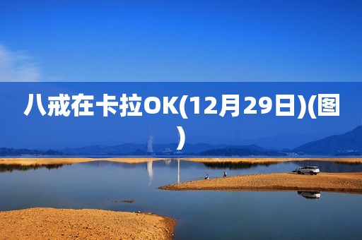 八戒在卡拉OK(12月29日)(图)